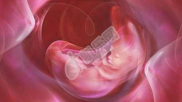 试管代生对女性的要求,美国试管婴儿可以选择龙凤胎吗?