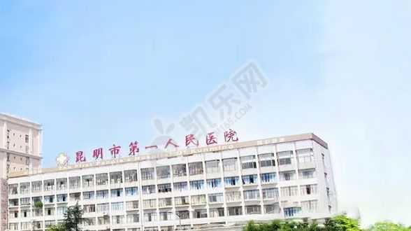 代生产子中心哪家专业,武汉代生孩子安全吗,天津市试管医院排名